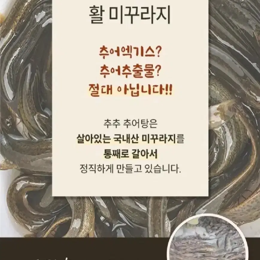 (무료배송)  번개최저가 추추 추어탕500Gx10팩5개기준13745원단가