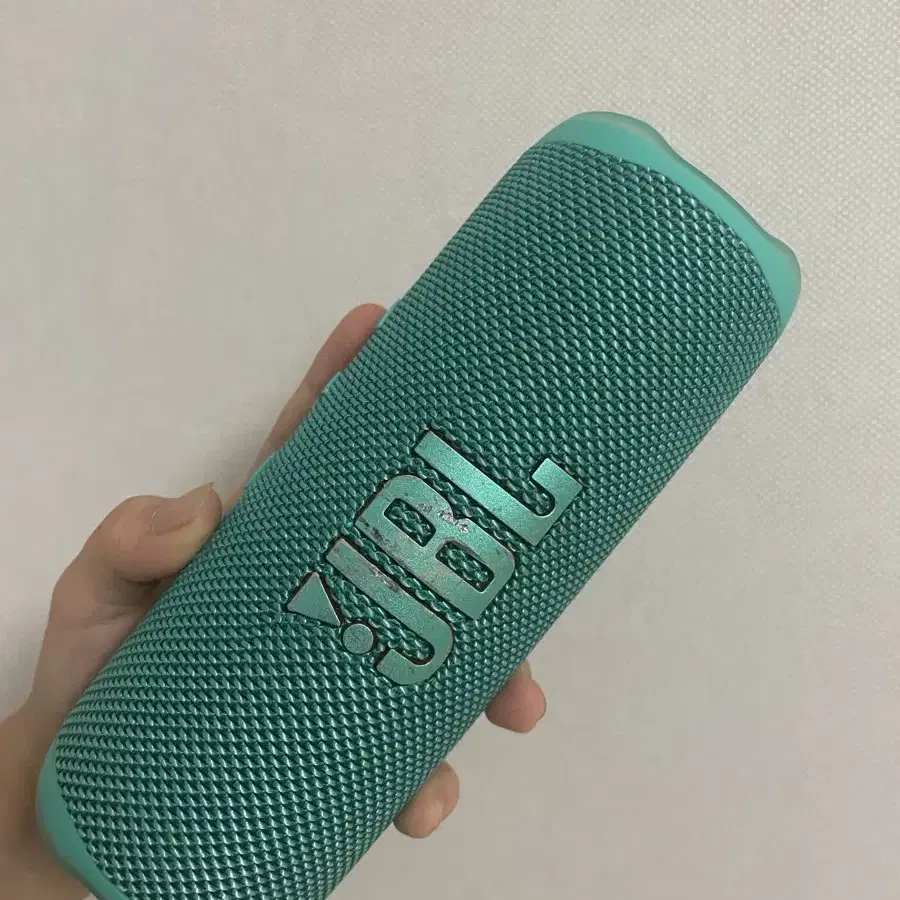 JBL flip6 민트