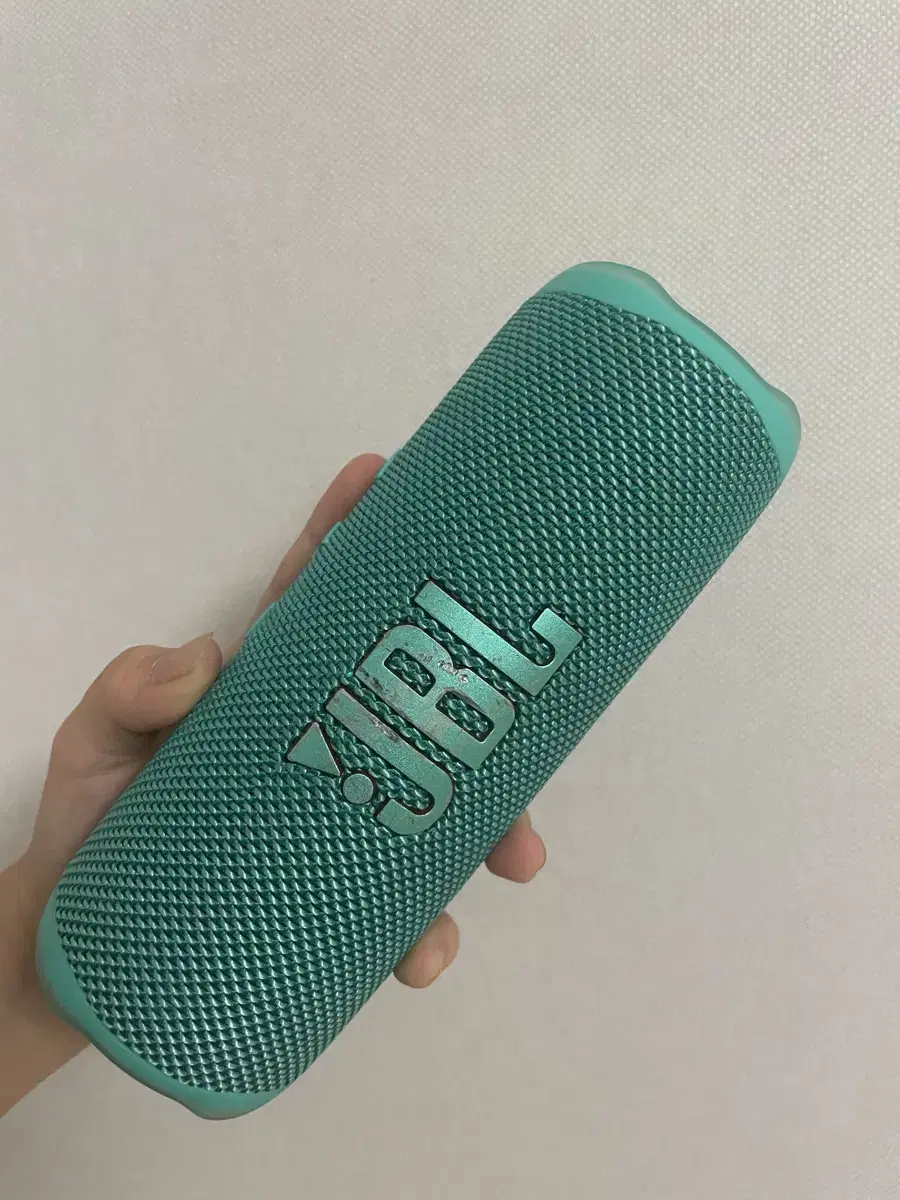 JBL flip6 민트