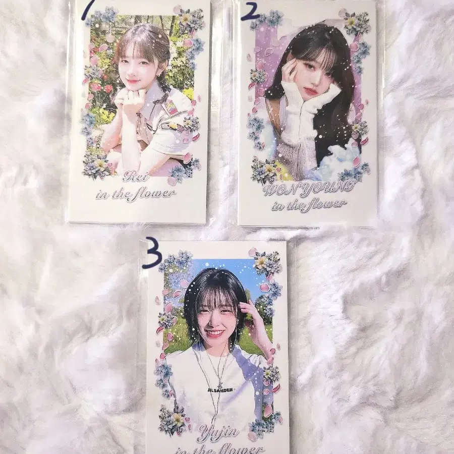 아이브비공굿포카