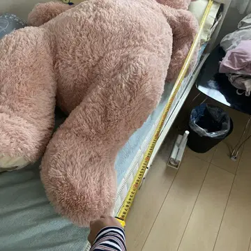 코스트코 곰 봉제 인형