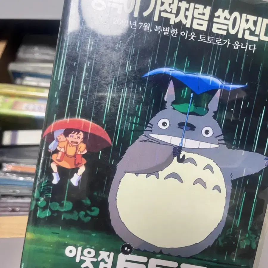 토토로 DVD