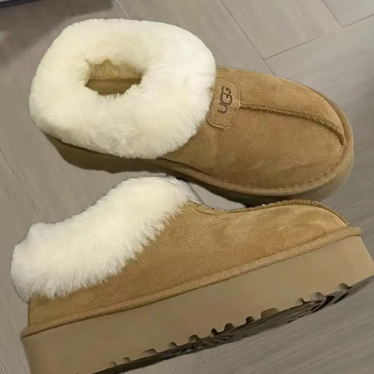 ugg 어그 타제트 1134810-CHE