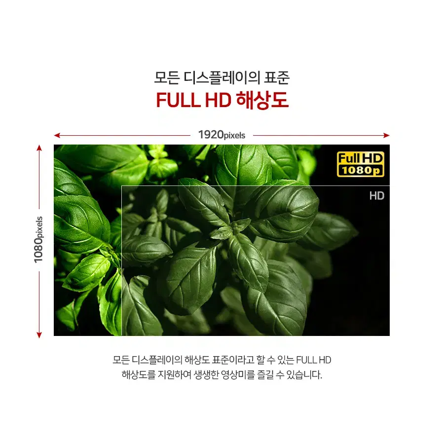 22인치형 TN패널 FHD해상도 프리싱크 사무용 모니터 HDMI/RGB