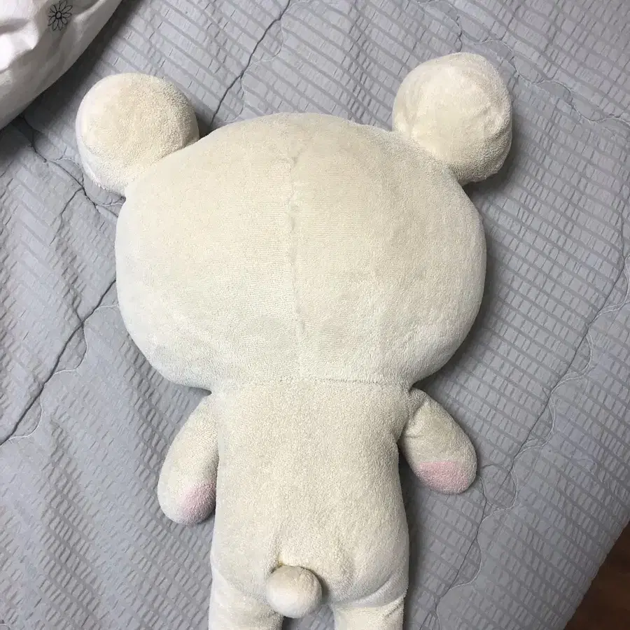 정품 코리락쿠마 기본인형 XL 40cm