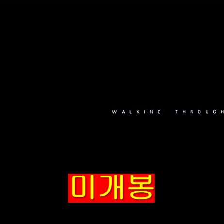 커널스트립 - Walking Through The Galaxy (CD)