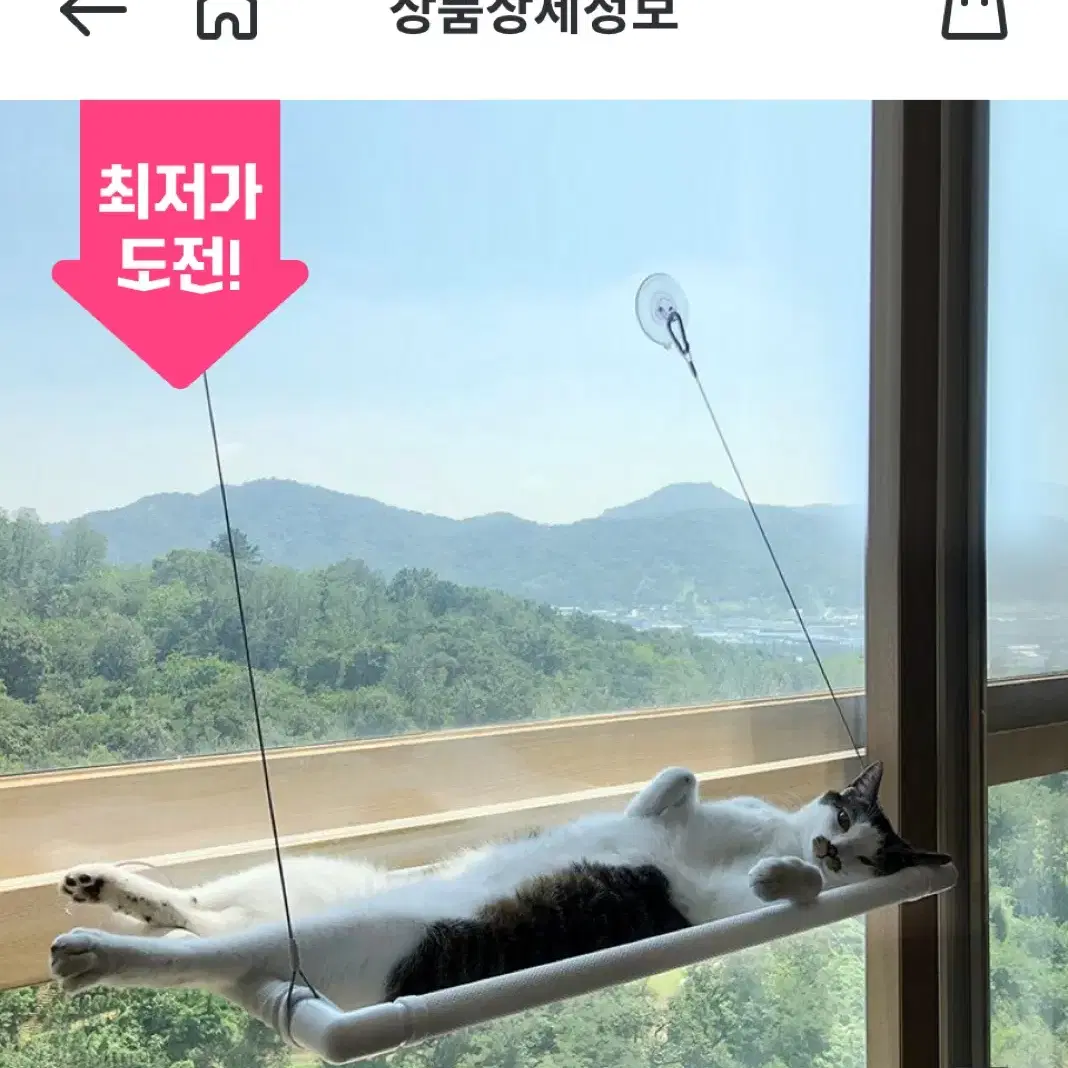 고양이 윈도우해먹, 고양이해먹, 고양이 용품, 고양이 창가해먹