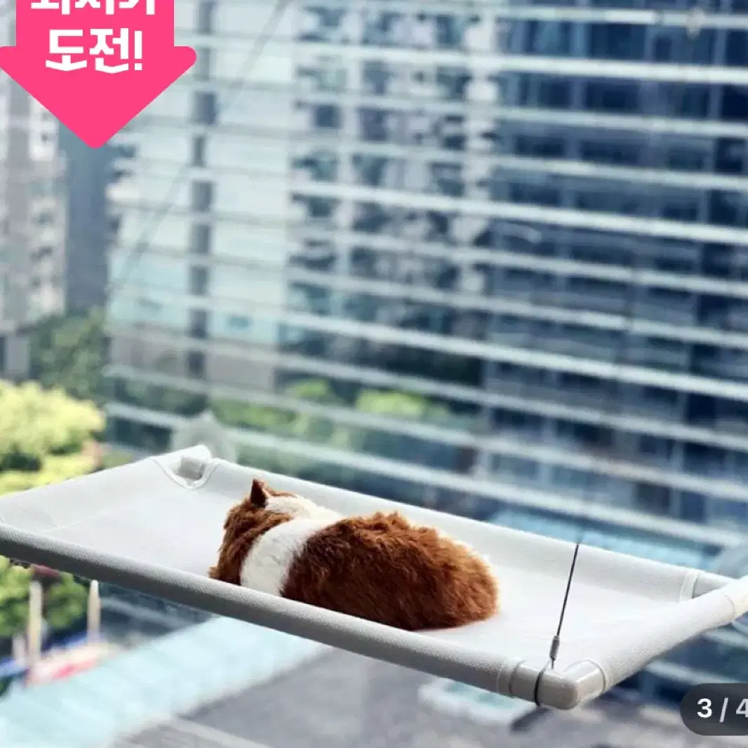 고양이 윈도우해먹, 고양이해먹, 고양이 용품, 고양이 창가해먹