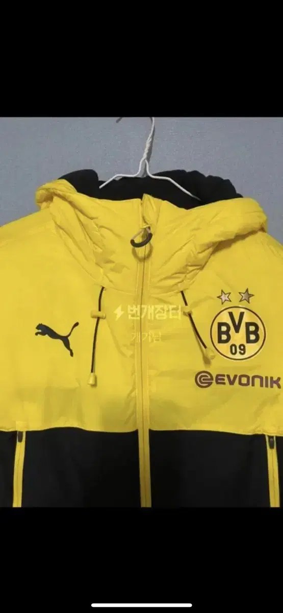 Dortmund Benchjackets