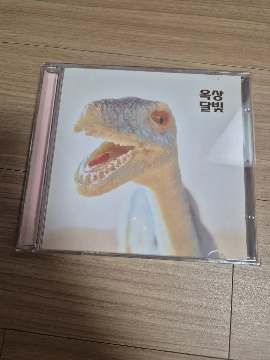 옥상달빛 ep 옥탑라됴 CD개봉