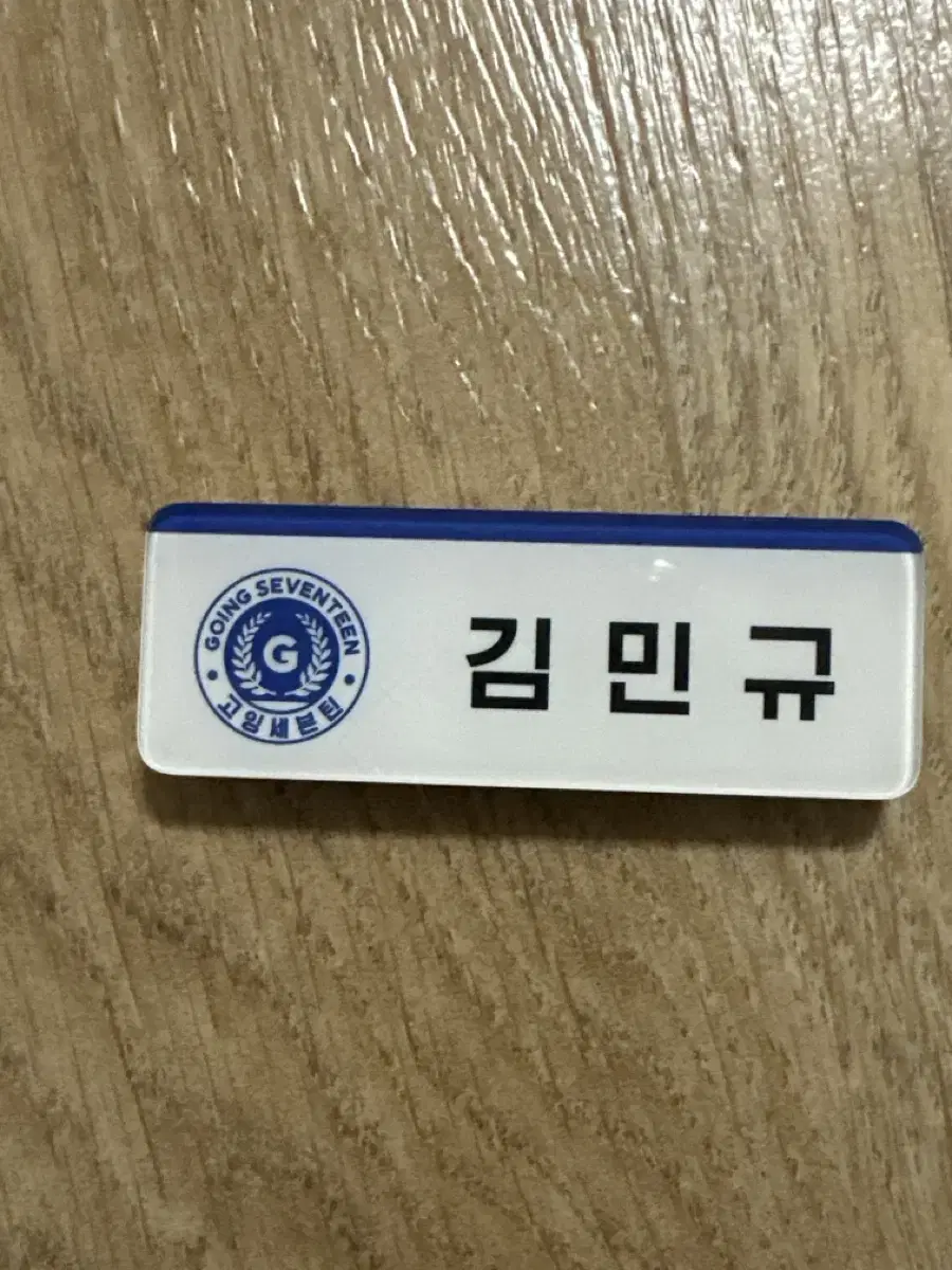 GoingSeventeen kim mingyu mingyu Name Badges