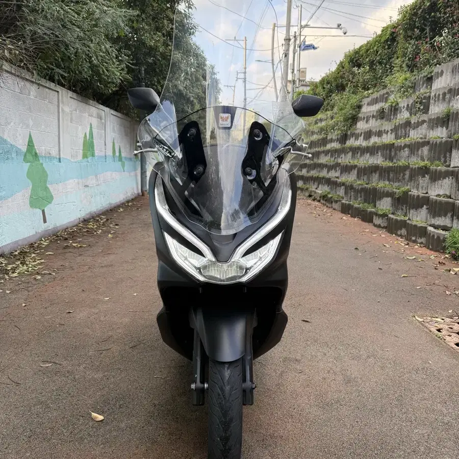 혼다 더뉴pcx125