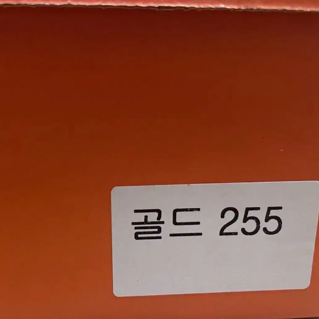 새상품) 나이키 골드 펜싱화 255