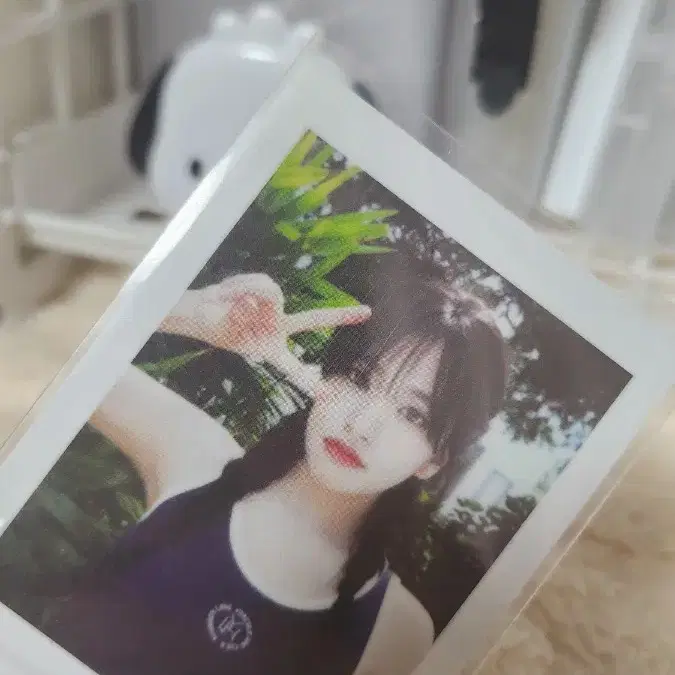 최저가,폭덤)A DREAMY DAY/POLAROID 유진