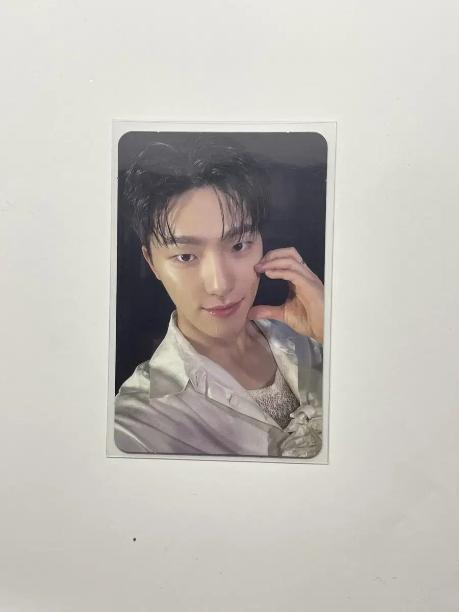 dino feel blue albumphotocard wts