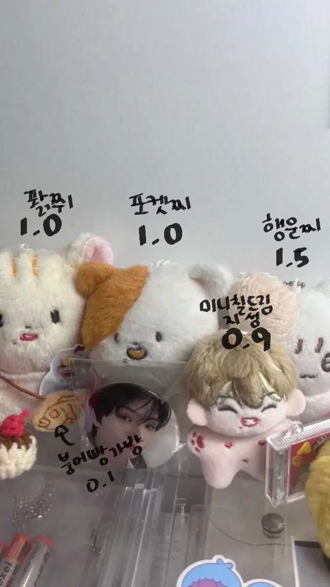 jisung doll mini chilldream pouch wts nctdream jisung