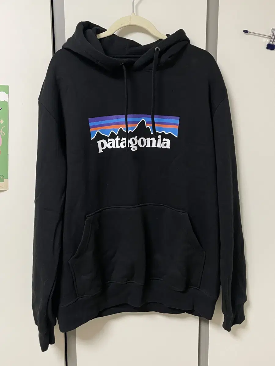 Patagonia Hoodie (L)