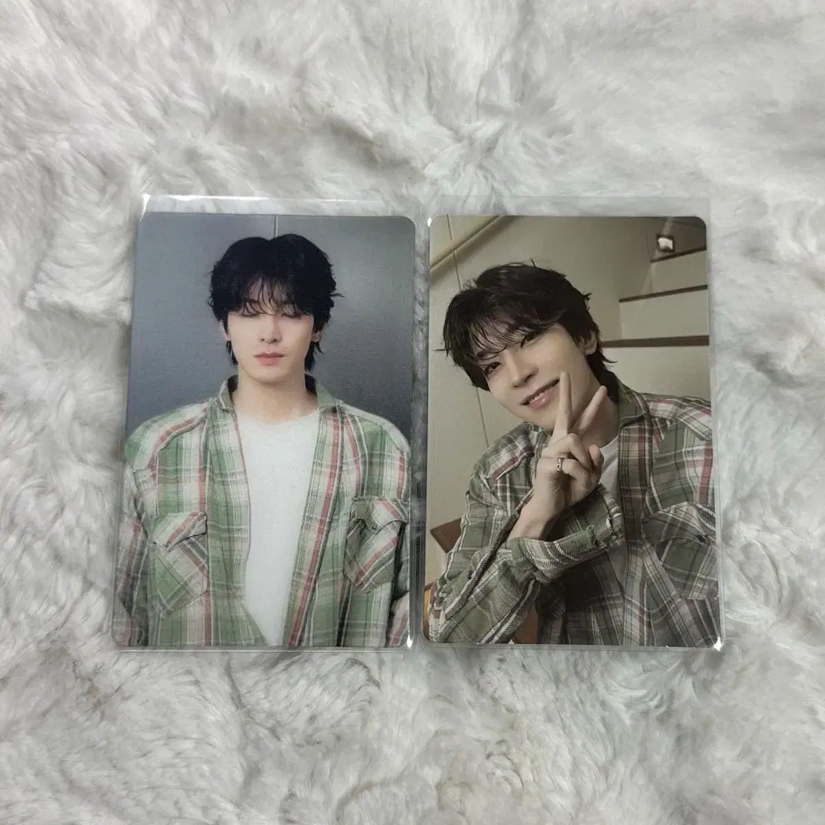 Seventeen Caratland Caran 2024 wonwoo photocard Cellulanticular WTS