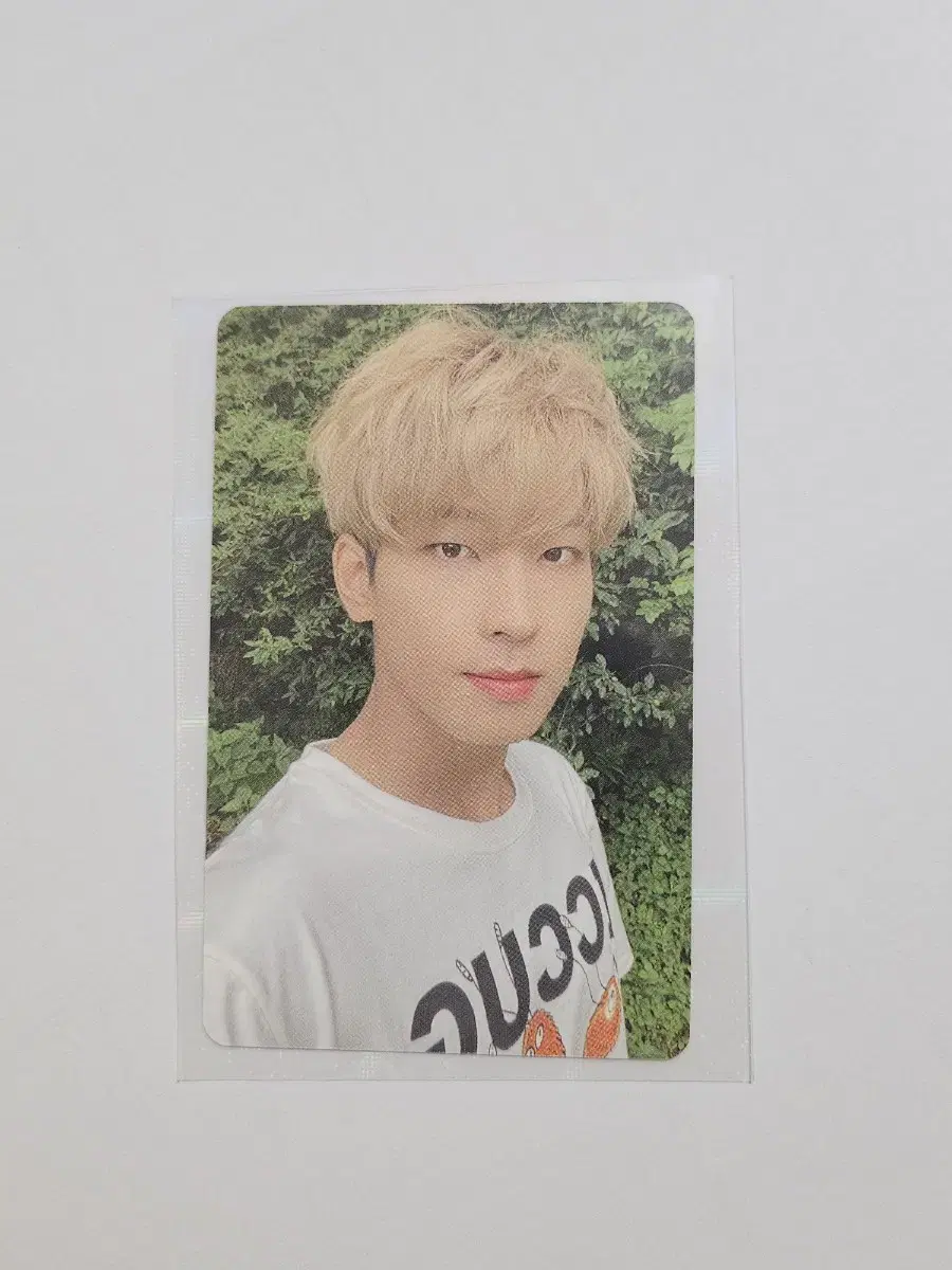 Today only)seventeen wonwoo dikon101 photocard wts