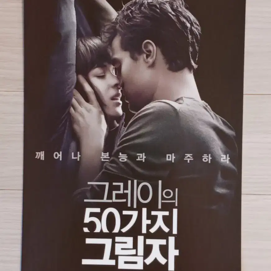 그레이의50가지그림자(2015년)전단지