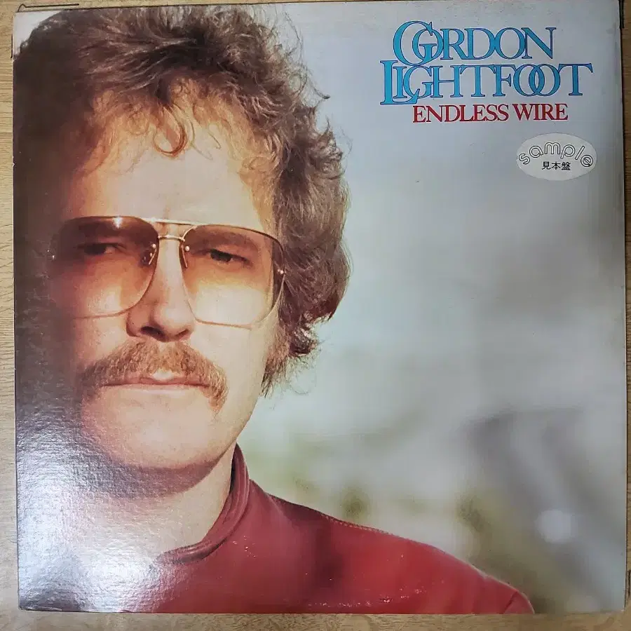 GORDON LIGHTFOOT 음반 e (LP 턴테이블 오디오 앰프