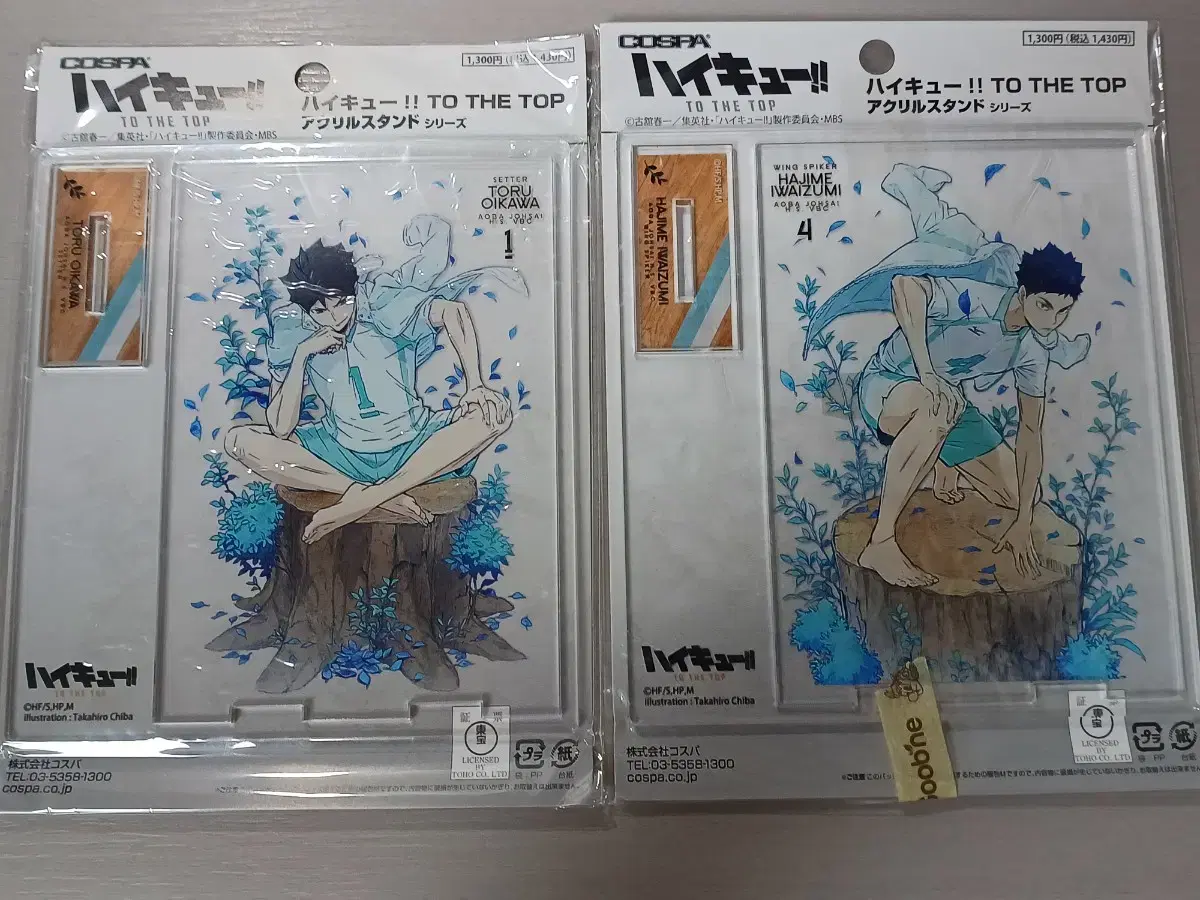 Unsealed) haikyuu Barefoot acrylic stand Older Version Seijo Oikawa Iwaizumi