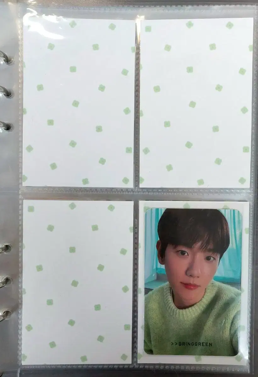 [New] Petite Clover single-sided binder/back photocard paper for sale