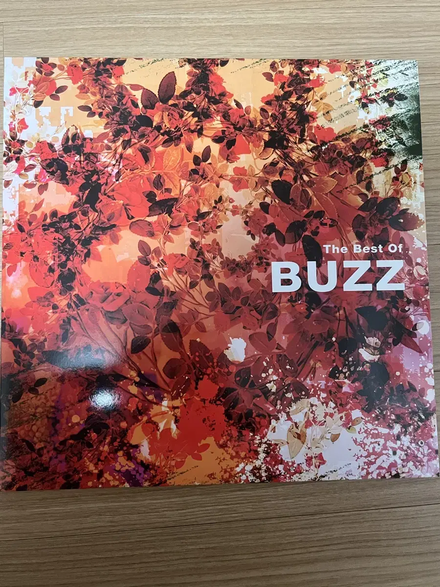 버즈 buzz 엘피 lp