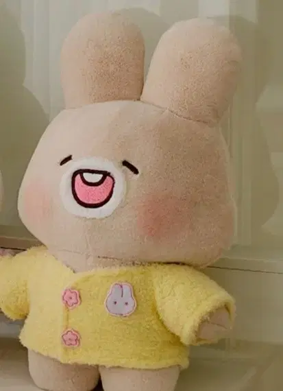 [New] Shuyatoya Toya Plush doll 30cm