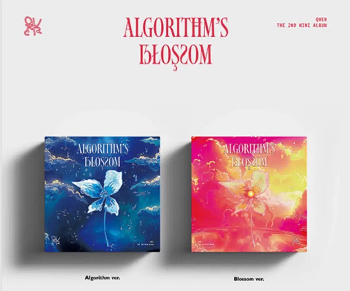 Qwer Algorithm's Blossom myname is album unsealed