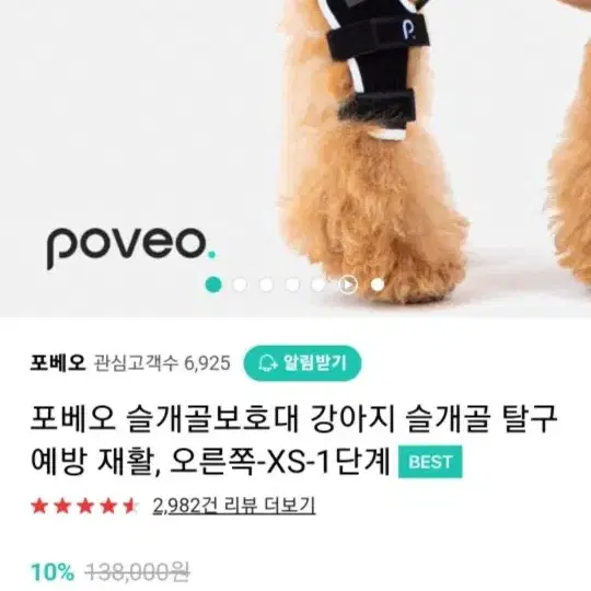 강아지 쓸개골 예방 보호대