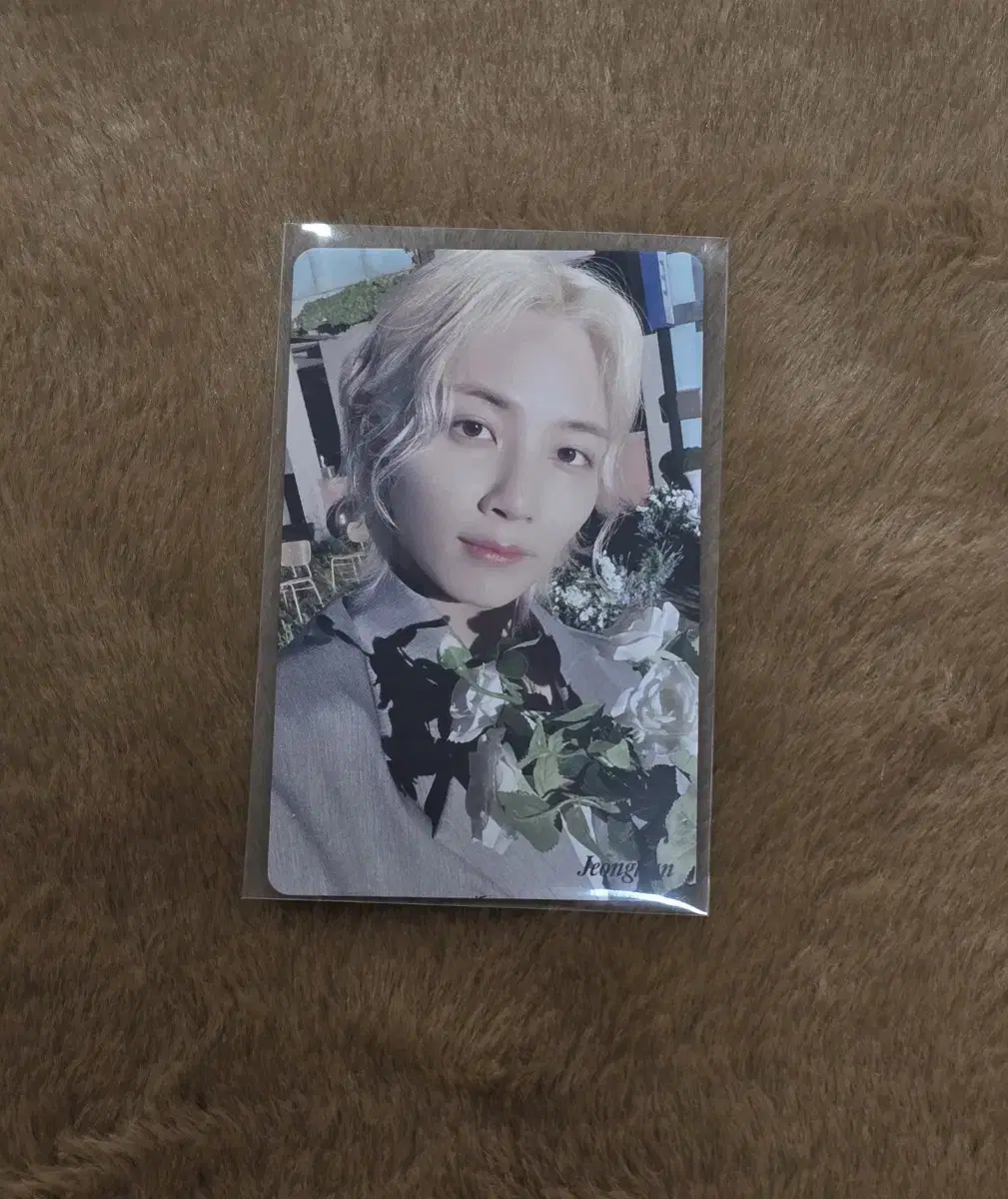 Seventeen jeonghan Your Choice HMV