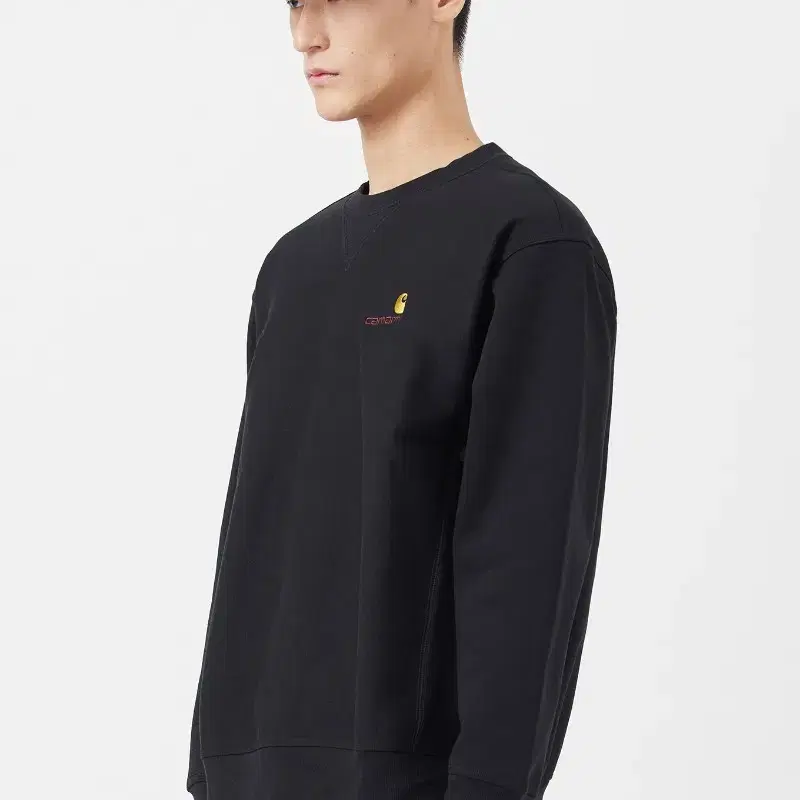 Carhartt WIP American Script Sweatshirt