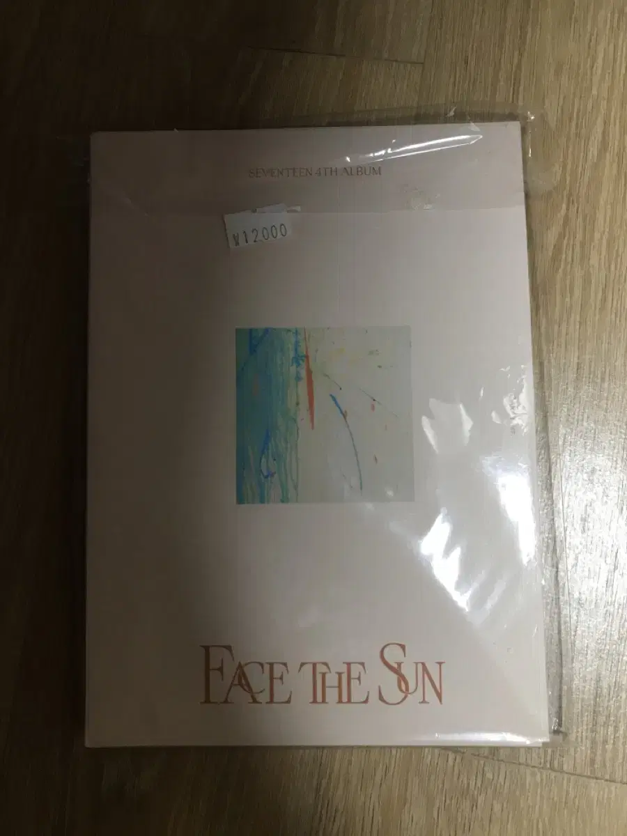 세븐틴 정한 face the sun 페더썬 캐럿반