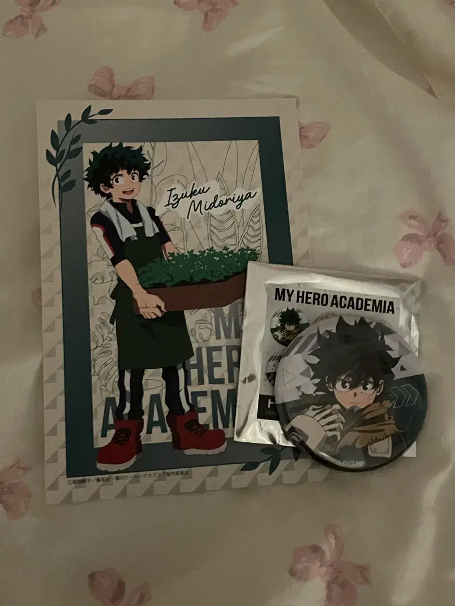 Hiroaka Nahia Uraraka Midoriya Can Badge postcard Sells