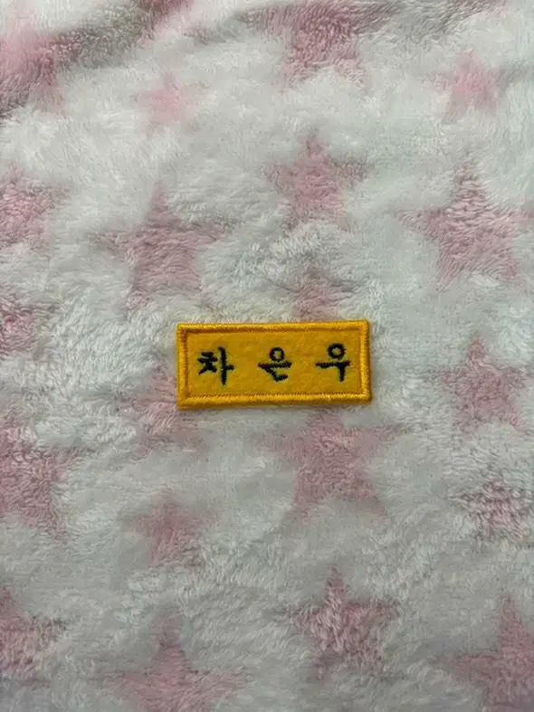 Cha Eunwoo Name Badge