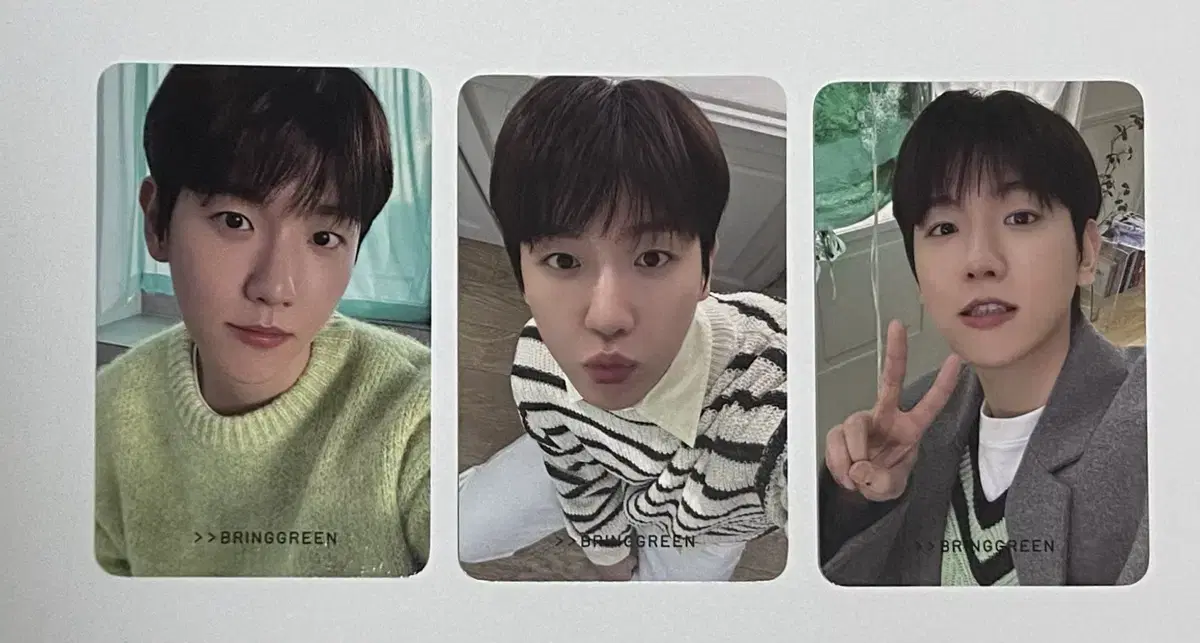 Baekhyun Bring Green Photocard