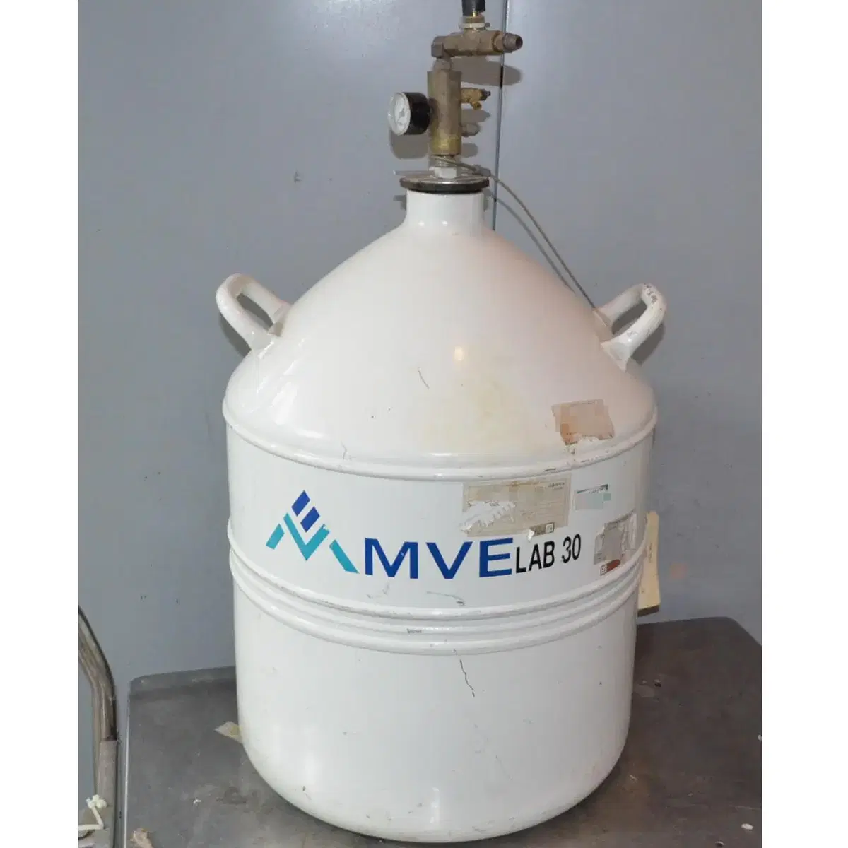 질소통 MVE LAB 30 Nitrogen Tank