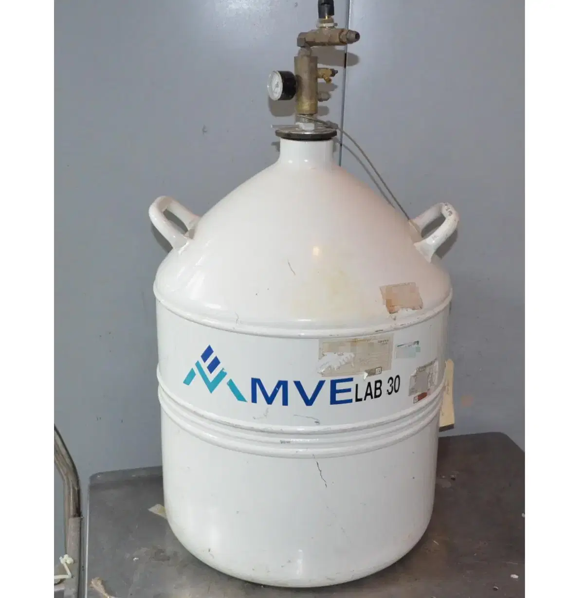 질소통 MVE LAB 30 Nitrogen Tank