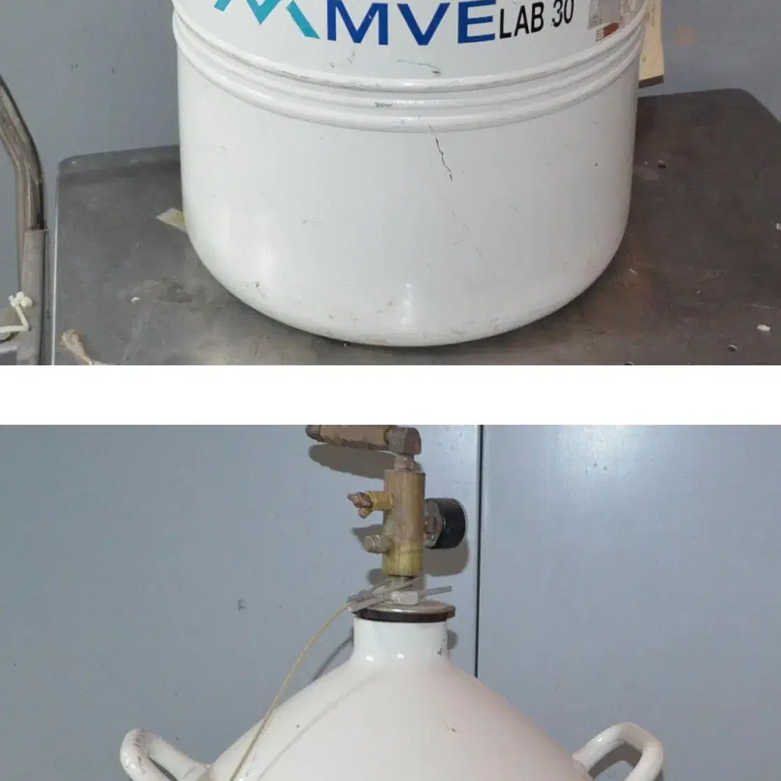 질소통 MVE LAB 30 Nitrogen Tank