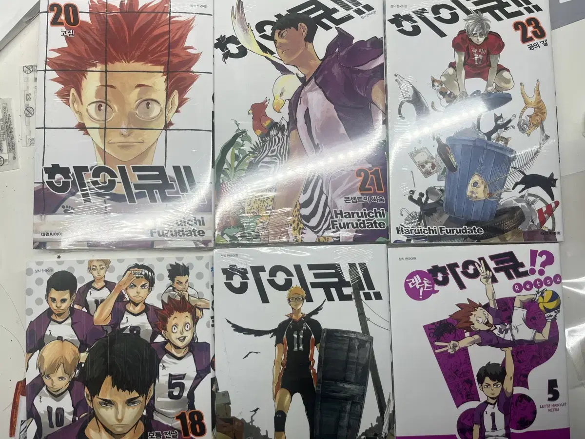 Haikyuu Shiratorizawa Paperbacks/Retsu Haikyuu in Bulk