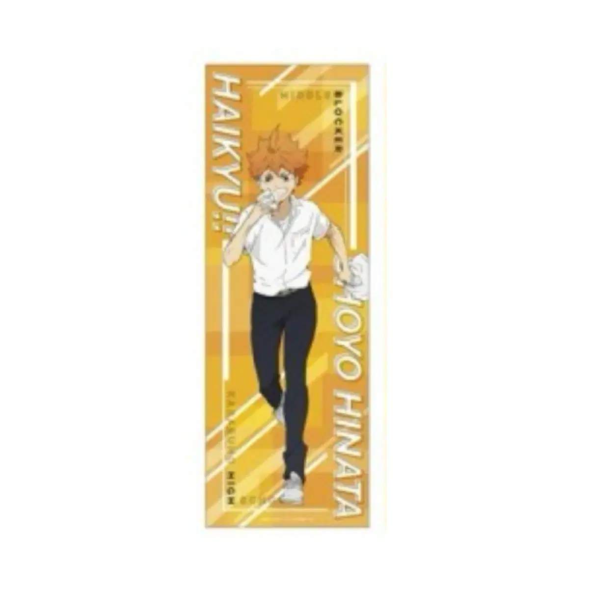 Haikyuu official goods Slim poster Collection Lunch Break Hinata