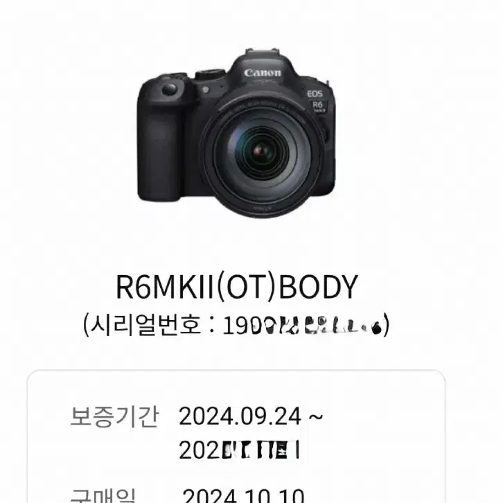 캐논 미러리스 플프레임 R 6dmark2 RF24-105 F4L