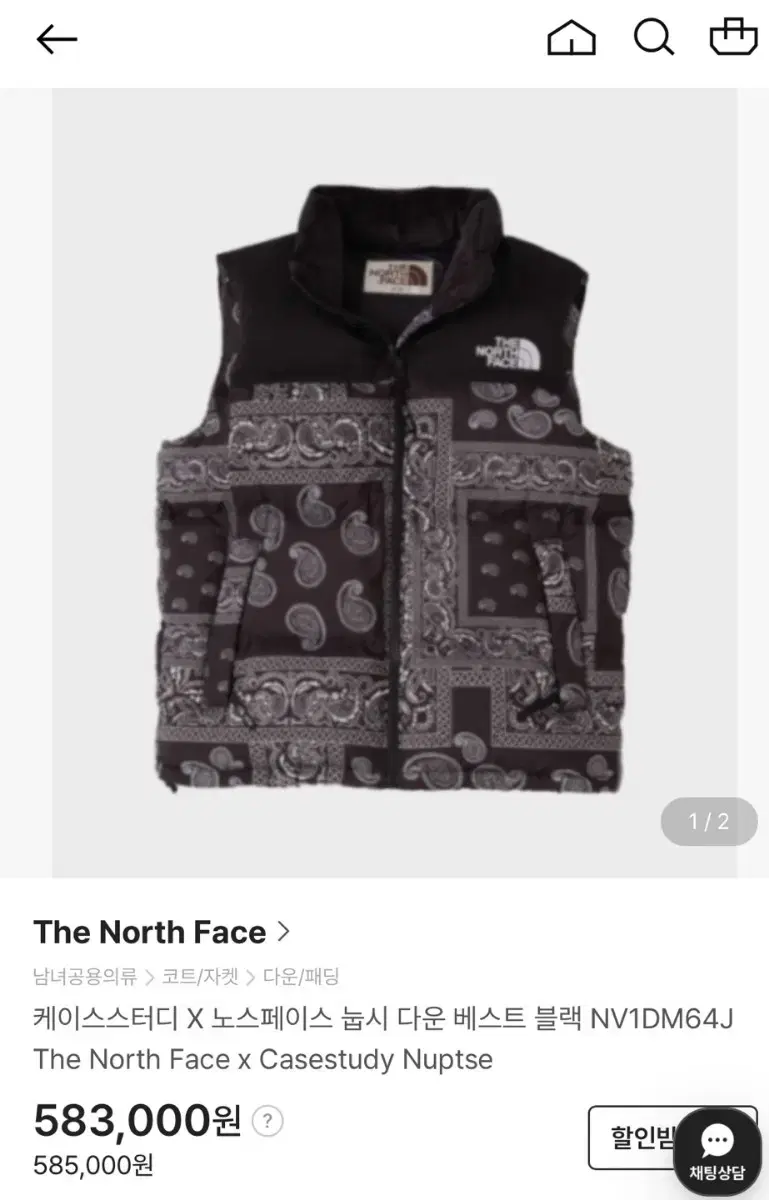 Case Study The North Face Noodle Down Vest