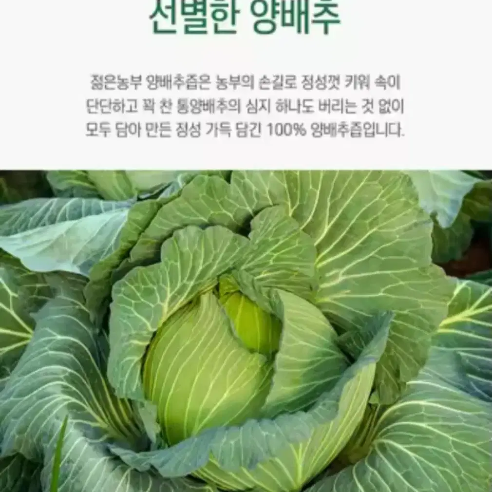 젊은농부 양배추즙. 100m,100포