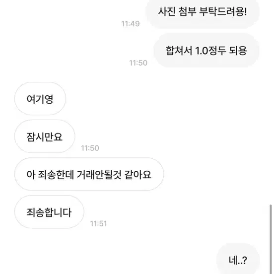 먼지 0913 박제