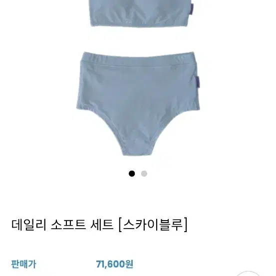 드니즈 폴웨어