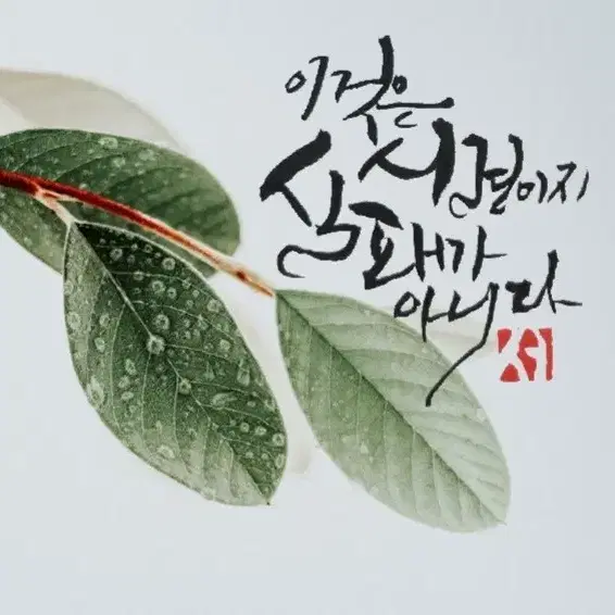 캘리그라피 글 사진 액자 커플 부모님 선생님 친구에게 선물해보세요