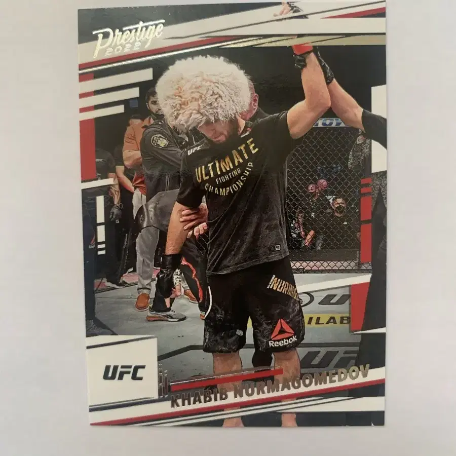 ufc 인서트 3장