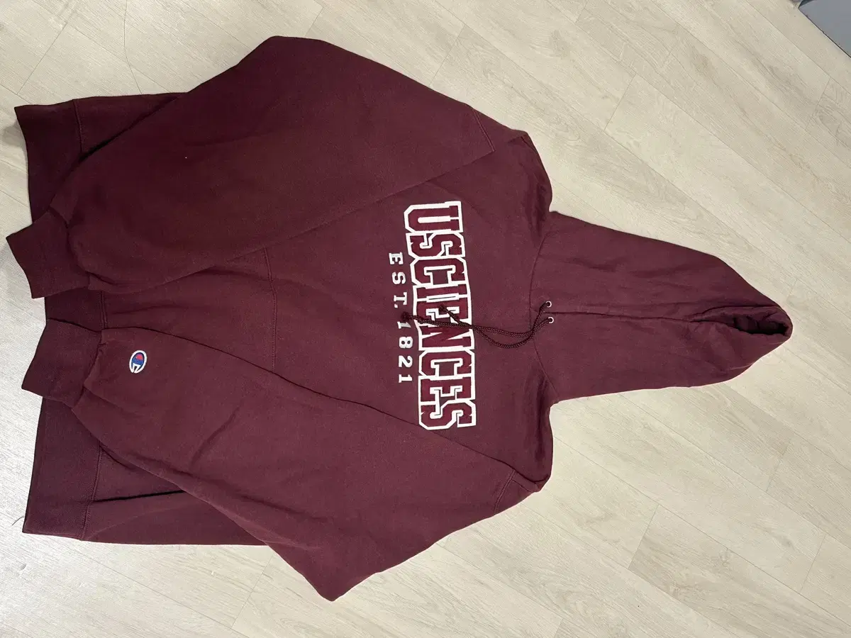 Champion Hoodie